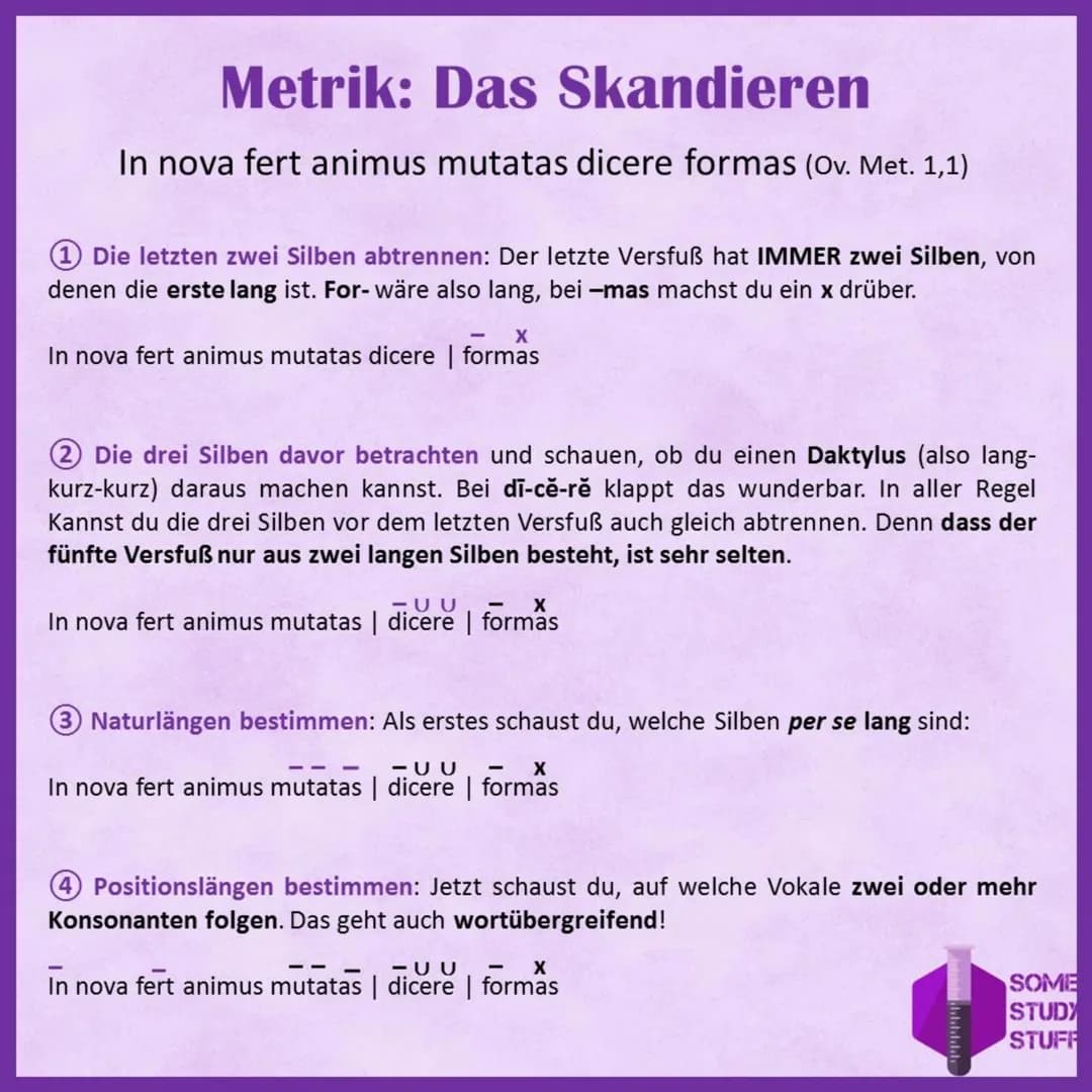 # Metrik: Der Hexameter

/ / / / / / / / / / / / / / / / / / / / / / / / / / / / / / / / / / / / / / / / / / / / / / / / / / / / / / / / / /