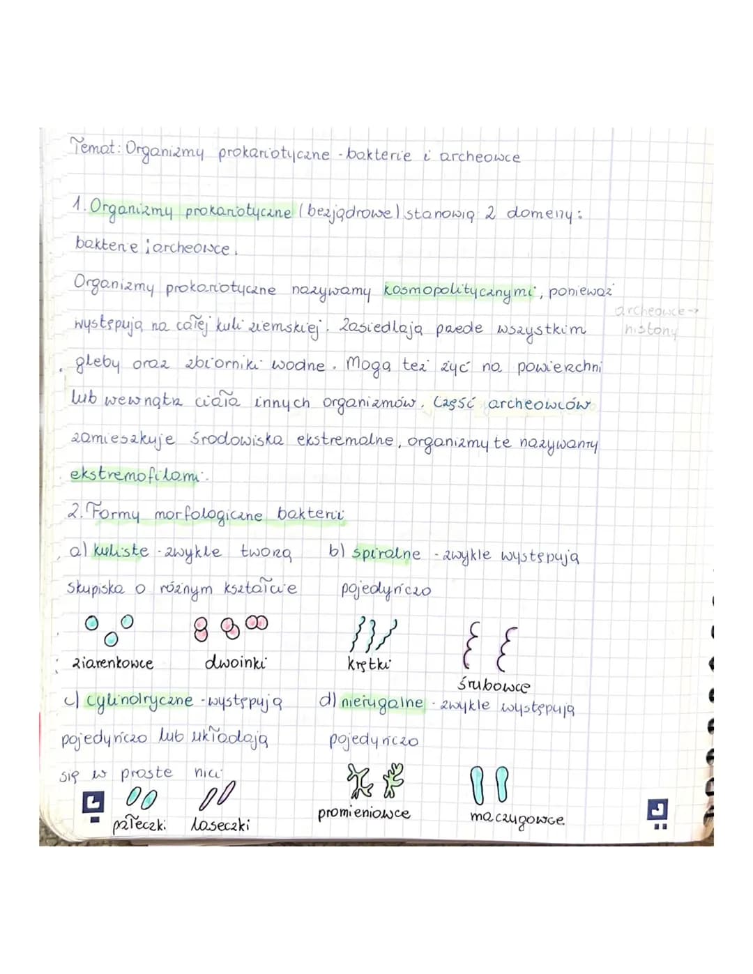 Temat: Organizmy prokariotyczne - bakterie i archeowce

1. Organizmy prokariotyczne (bezjądrowel stanowią 2 domeny:
baktene archeolsce.

Org