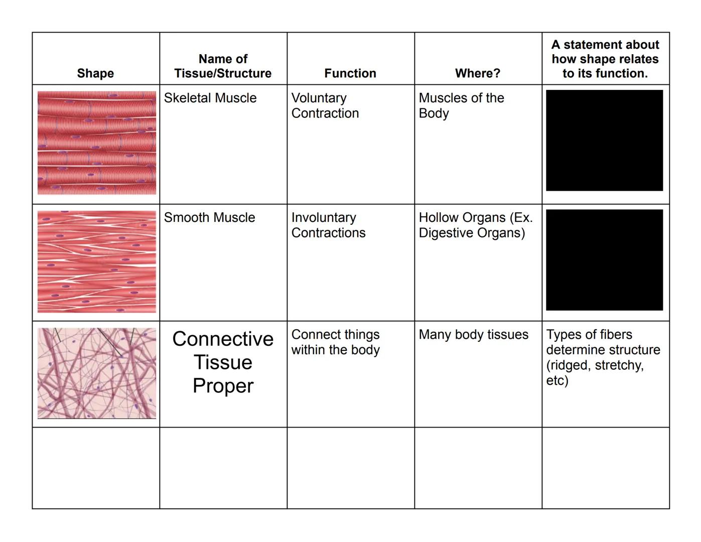 Name:

Tissue of the Human Body: Shape/Function Connections!

| Shape | Name of Tissue/Structure | Function | Where? | A statement about how