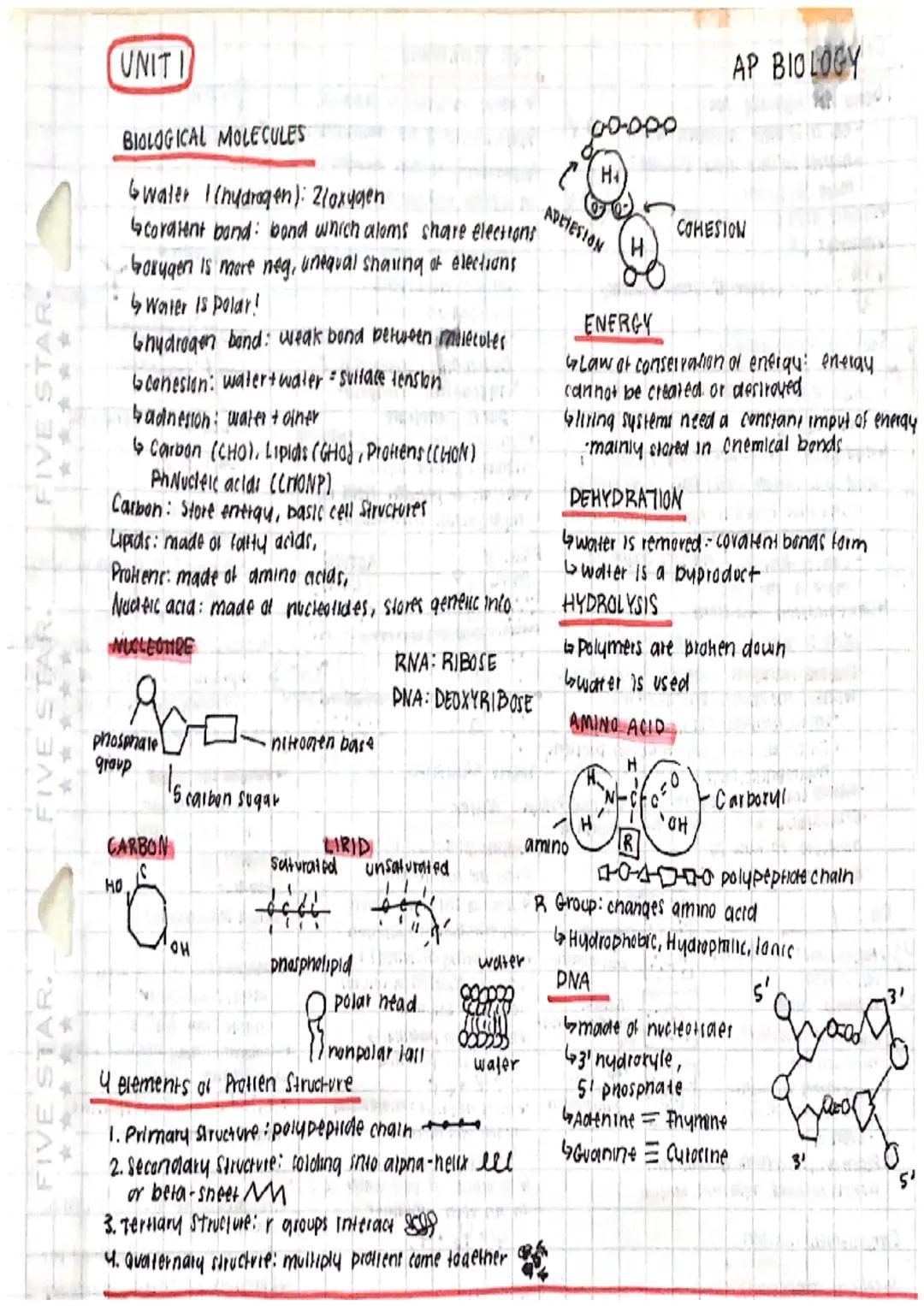 
<h2 id="introductiontobiologicalmolecules">Introduction to Biological Molecules</h2>
<p>In AP Biology Unit 1, students learn about the vari