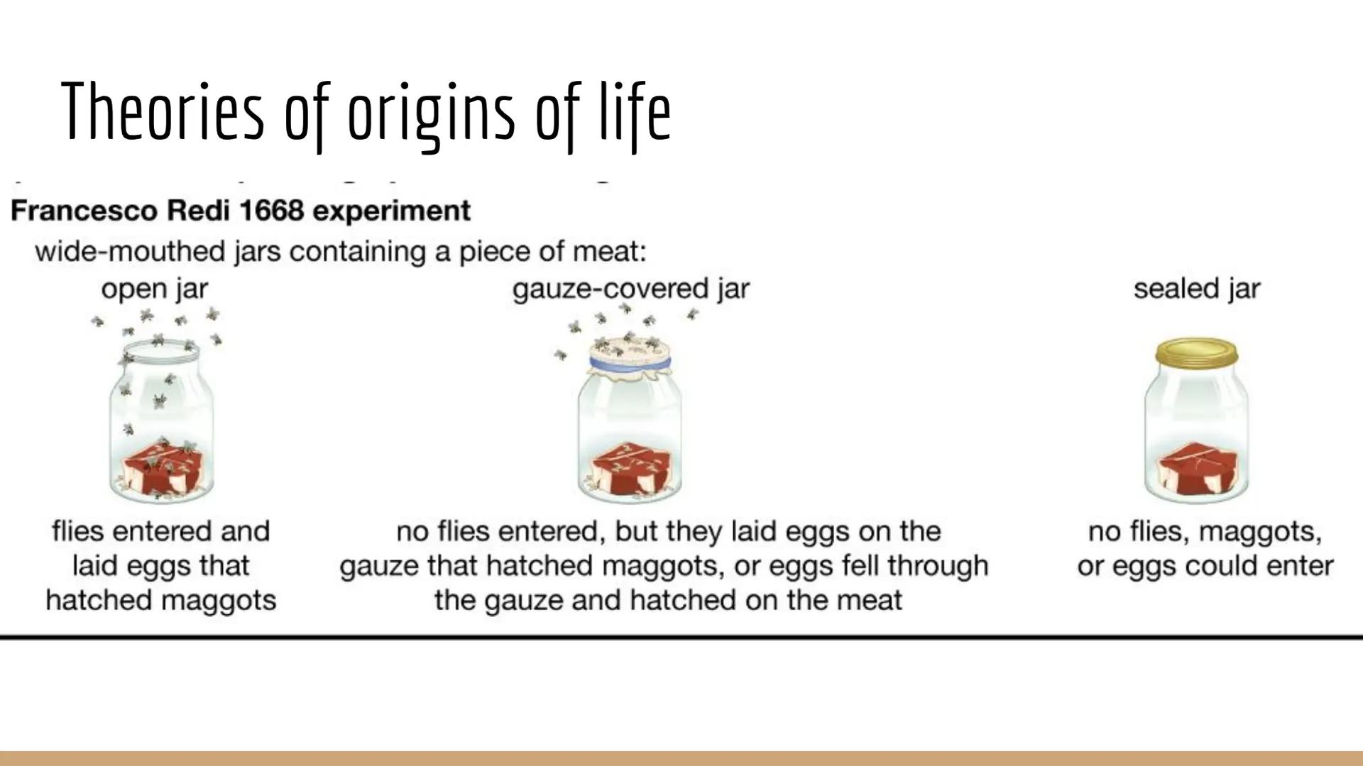 Origins of Life

Unit 2 Day 4 # Review Theories

| Origin of Life Theory | Definition - Fill in the blanks below using the reading | Scienti