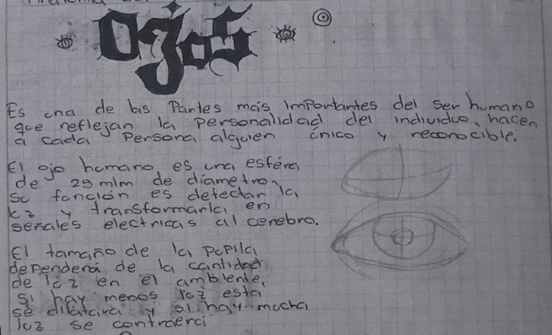 جمعہ

El craneo es una cajki iseci nos Protege de gapes. El
cranee se compone de & hueres que
enca cavidad y estos huesos son & Plans
Lura c