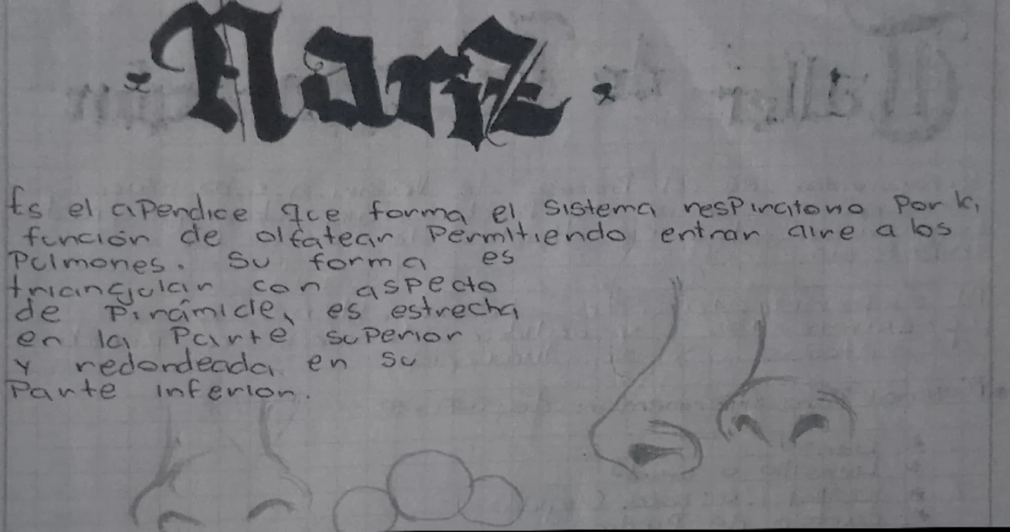 جمعہ

El craneo es una cajki iseci nos Protege de gapes. El
cranee se compone de & hueres que
enca cavidad y estos huesos son & Plans
Lura c
