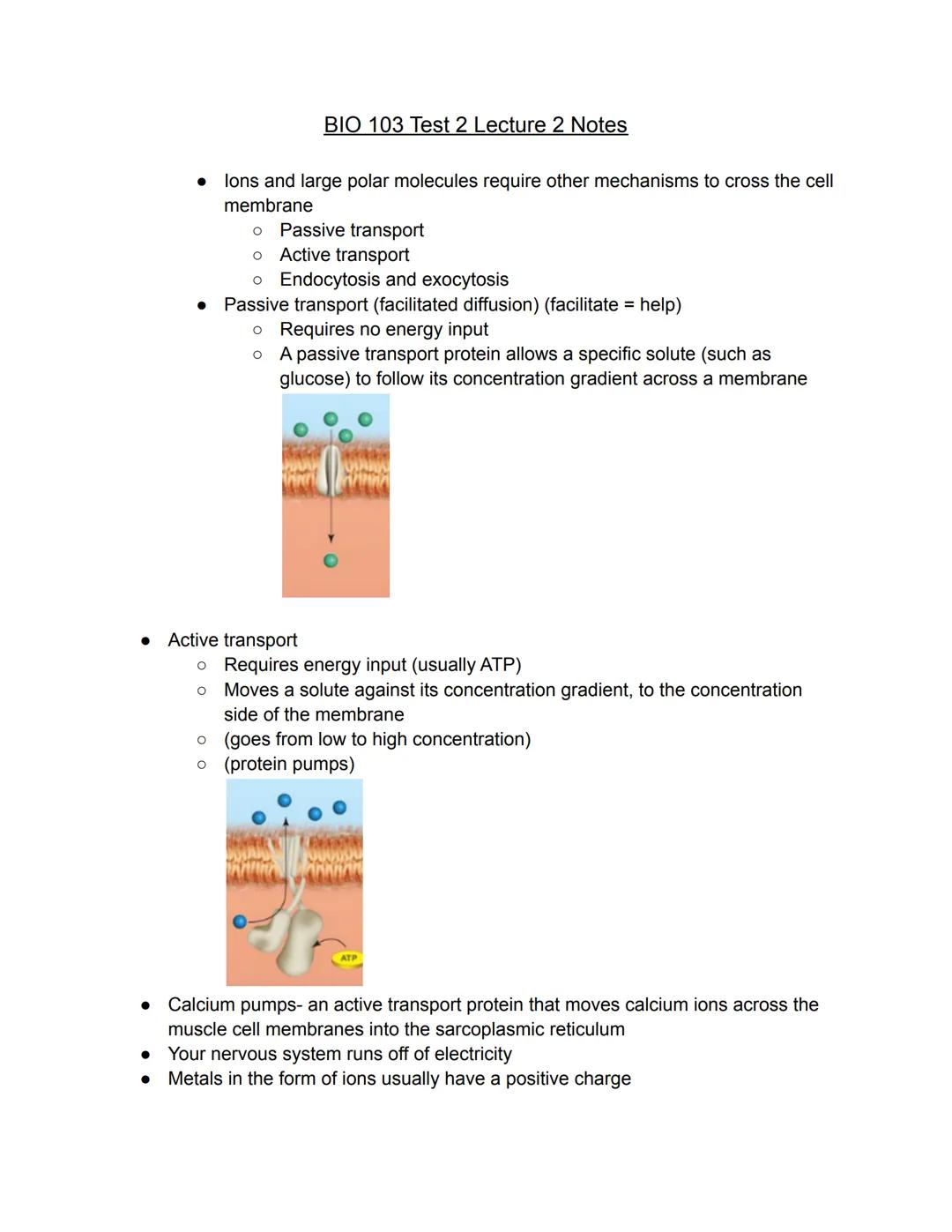 BIO 103 Test 2 Lecture 2 Notes

• lons and large polar molecules require other mechanisms to cross the cell
membrane

• Passive transport
• 