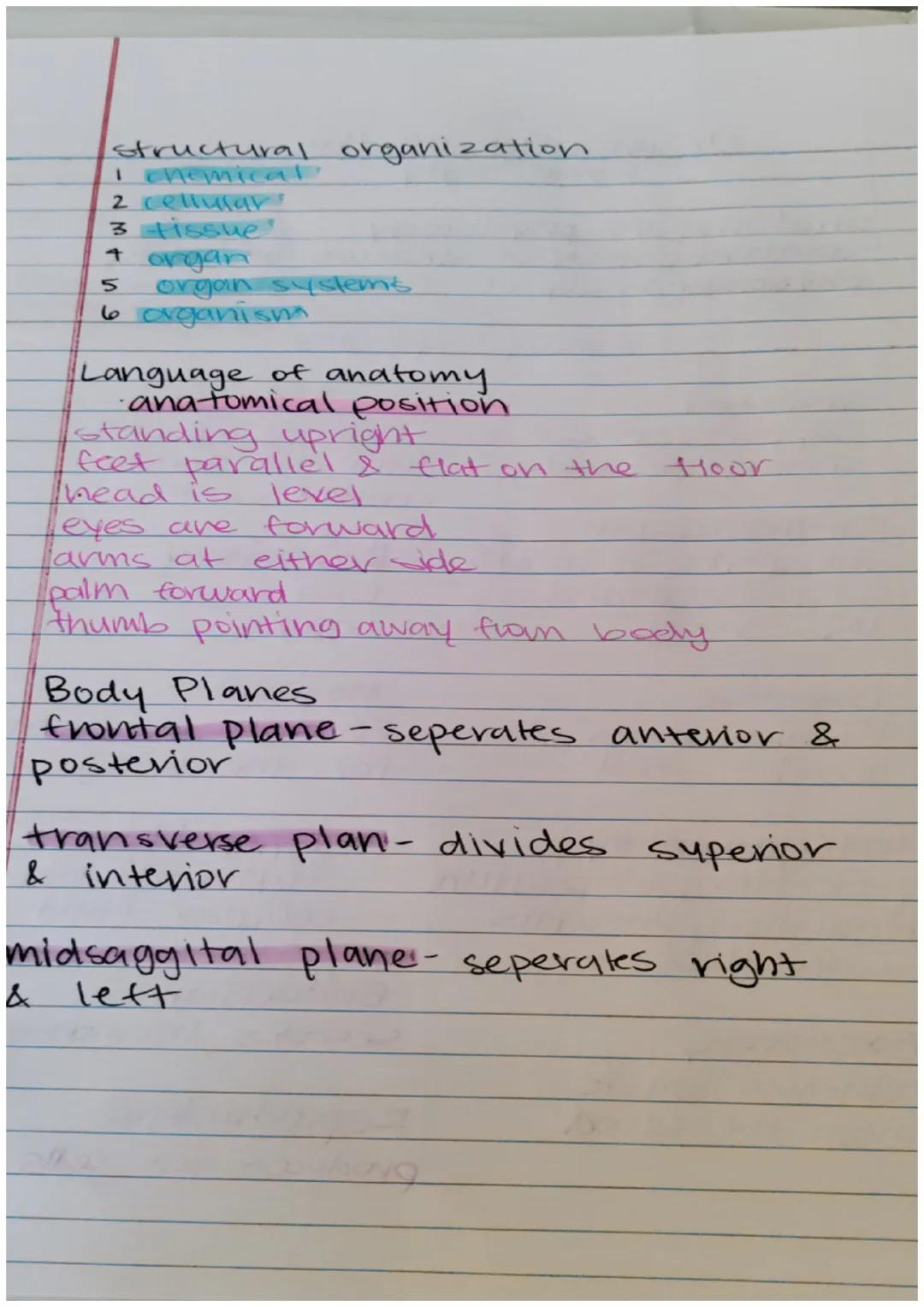 Organzation of the
human body

anatomy vs physiology
- anatomy study of stricture of body
·physiology: study of function

Body Systems

Skel
