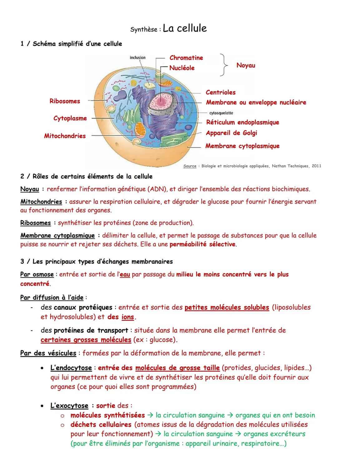 Synthèse: La cellule

1/ Schéma simplifié d'une cellule

inclusion

Ribosomes

Cytoplasme

Mitochondries

Chromatine
Nucléole

Noyau

Centri
