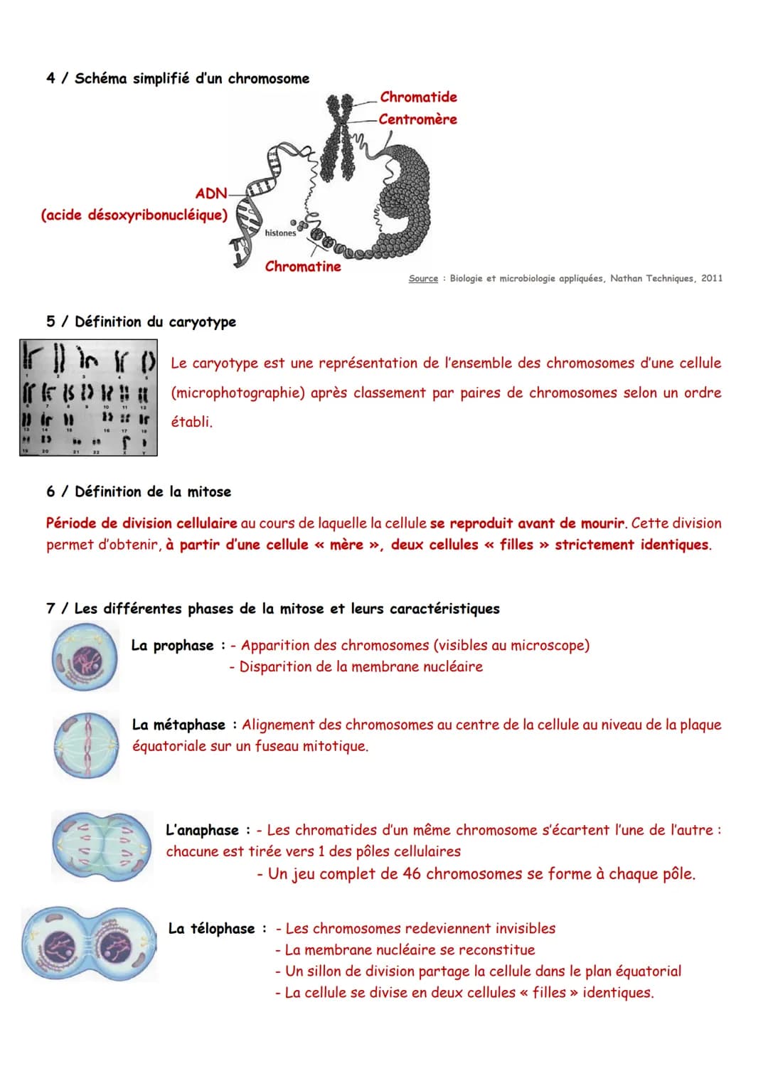 Synthèse: La cellule

1/ Schéma simplifié d'une cellule

inclusion

Ribosomes

Cytoplasme

Mitochondries

Chromatine
Nucléole

Noyau

Centri