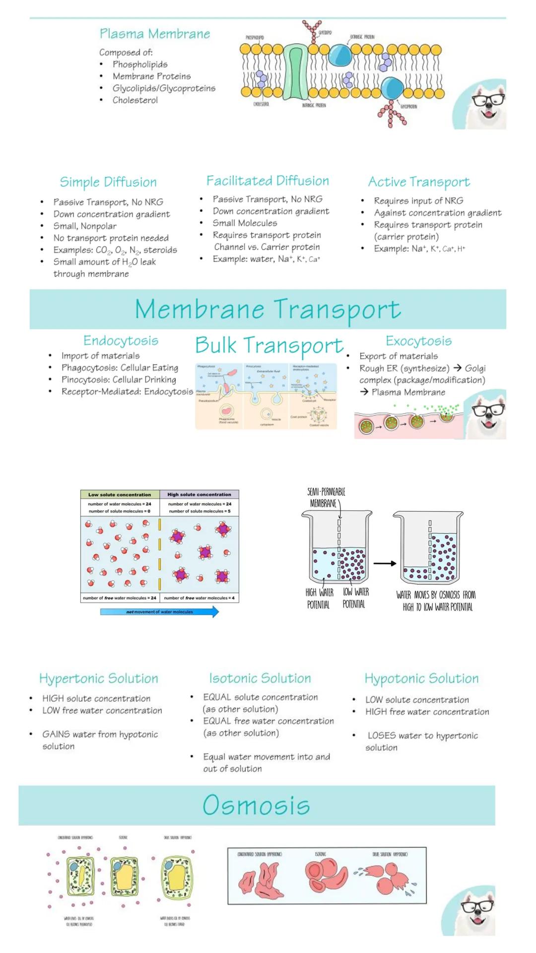 # Unit 1:
Chemistry of Life # Carbohydrates

Composed of C, H, & O- Ratio: 1:2:1
Monomer: Monosaccharide

Glucose
CH₂OH
OH
OH
HO
OH
Structur