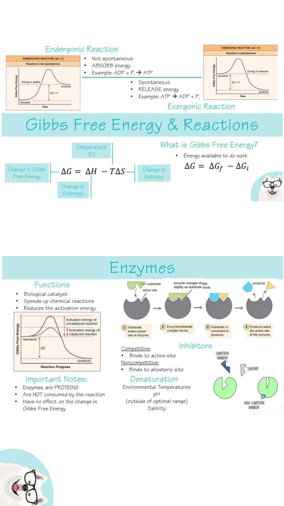 # Unit 1:
Chemistry of Life # Carbohydrates

Composed of C, H, & O- Ratio: 1:2:1
Monomer: Monosaccharide

Glucose
CH₂OH
OH
OH
HO
OH
Structur