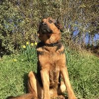 user profile picture