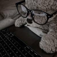 user profile picture