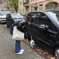 user profile picture