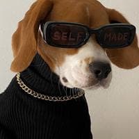 user profile picture