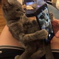 user profile picture
