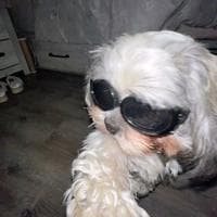 user profile picture
