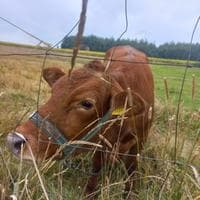user profile picture