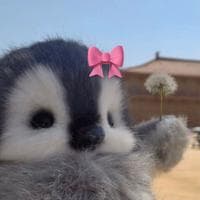 user profile picture