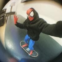 user profile picture