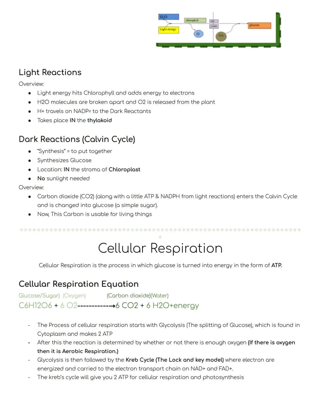 # Biology Honors
# Cell Energy Notes
November 30
ATP
## Chemical Energy
What is energy?
Energy is the ability to do work. Cells need en