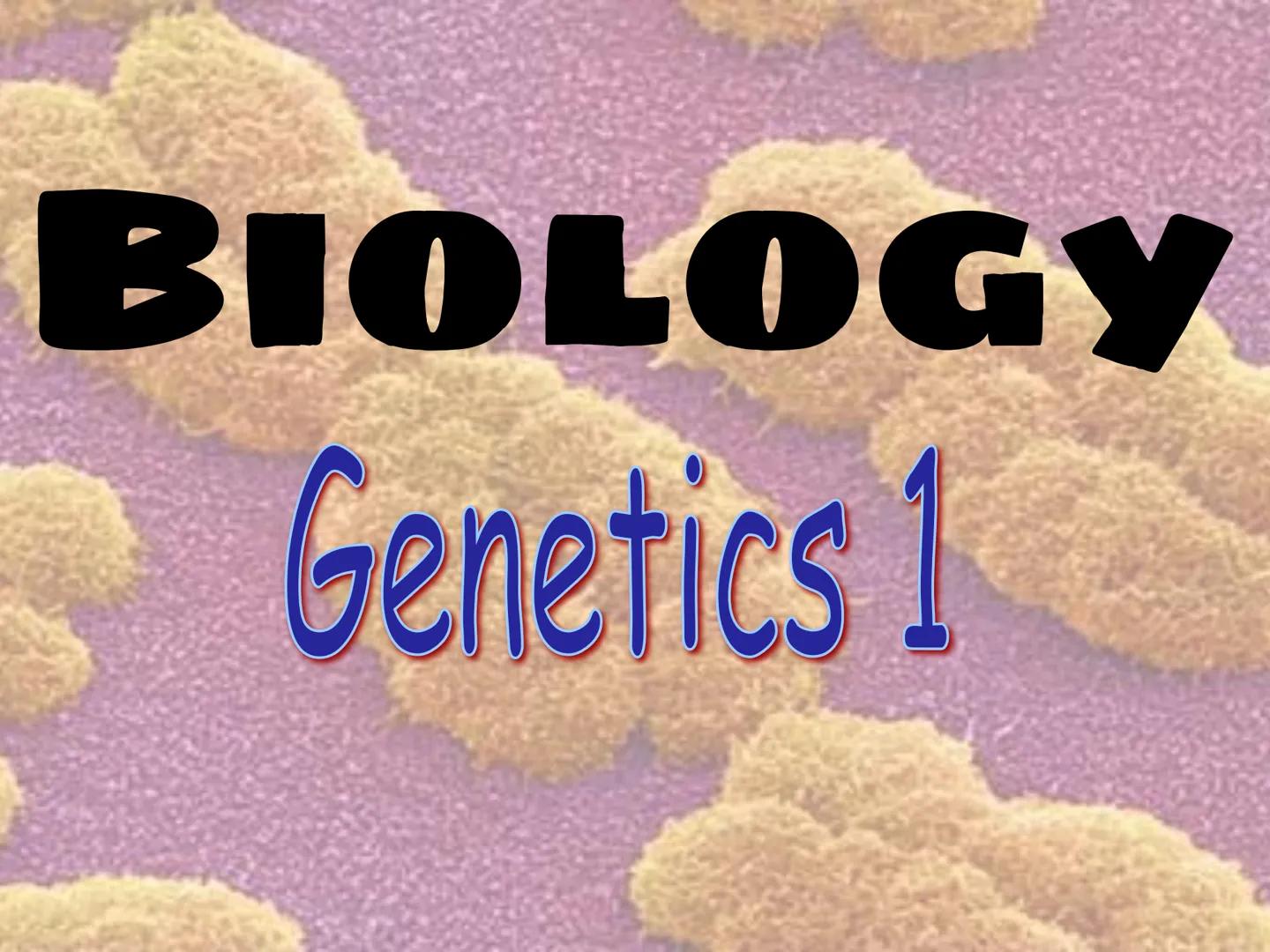 # BIOLOGY
## Genetics 1 • Genetics – the study of heredity
• Heredity – passing on of traits from parent to offspring
• Chromosomes - the ge