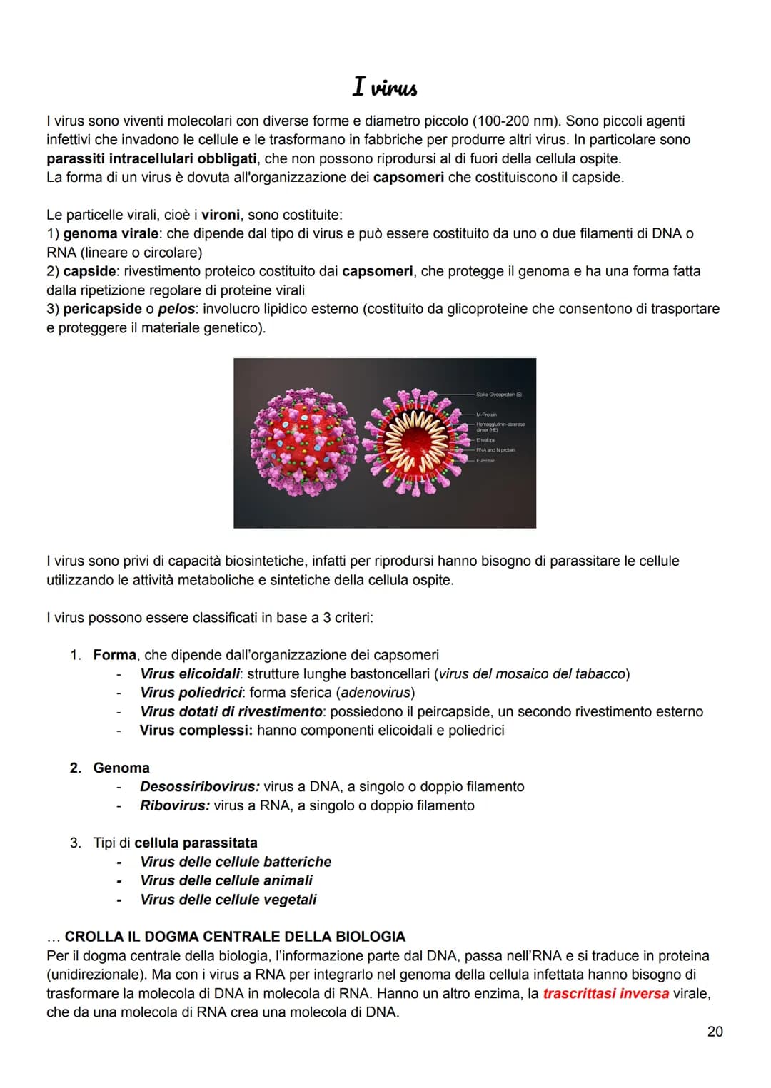 # I virus
I virus sono viventi molecolari con diverse forme e diametro piccolo (100-200 nm). Sono piccoli agenti
infettivi che invadono le