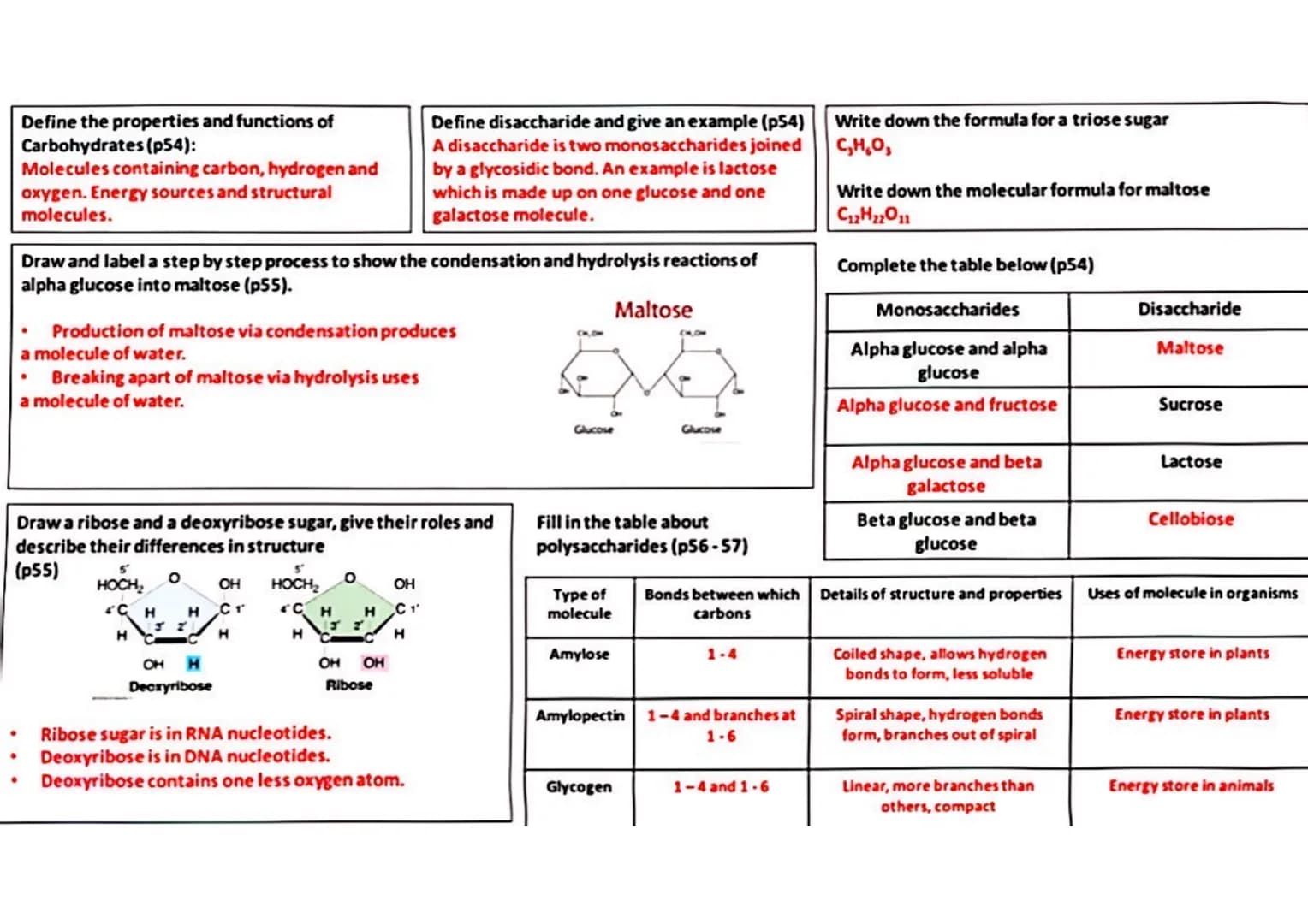 2.1.2 Biological Molecules
Complete the table to summarise properties of water (p52-53):
| Property | Features/description | Usefulness/app