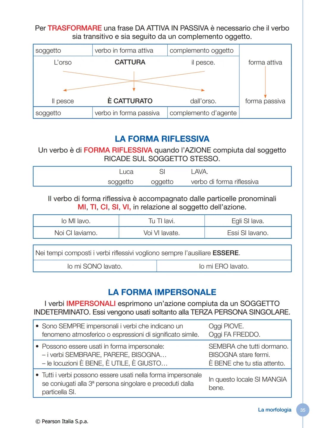 # IL VERBO
Che cos'è il verbo
Il verbo è la parte variabile del discorso che indica:
* un'azione compiuta da una persona o da una cosa
*