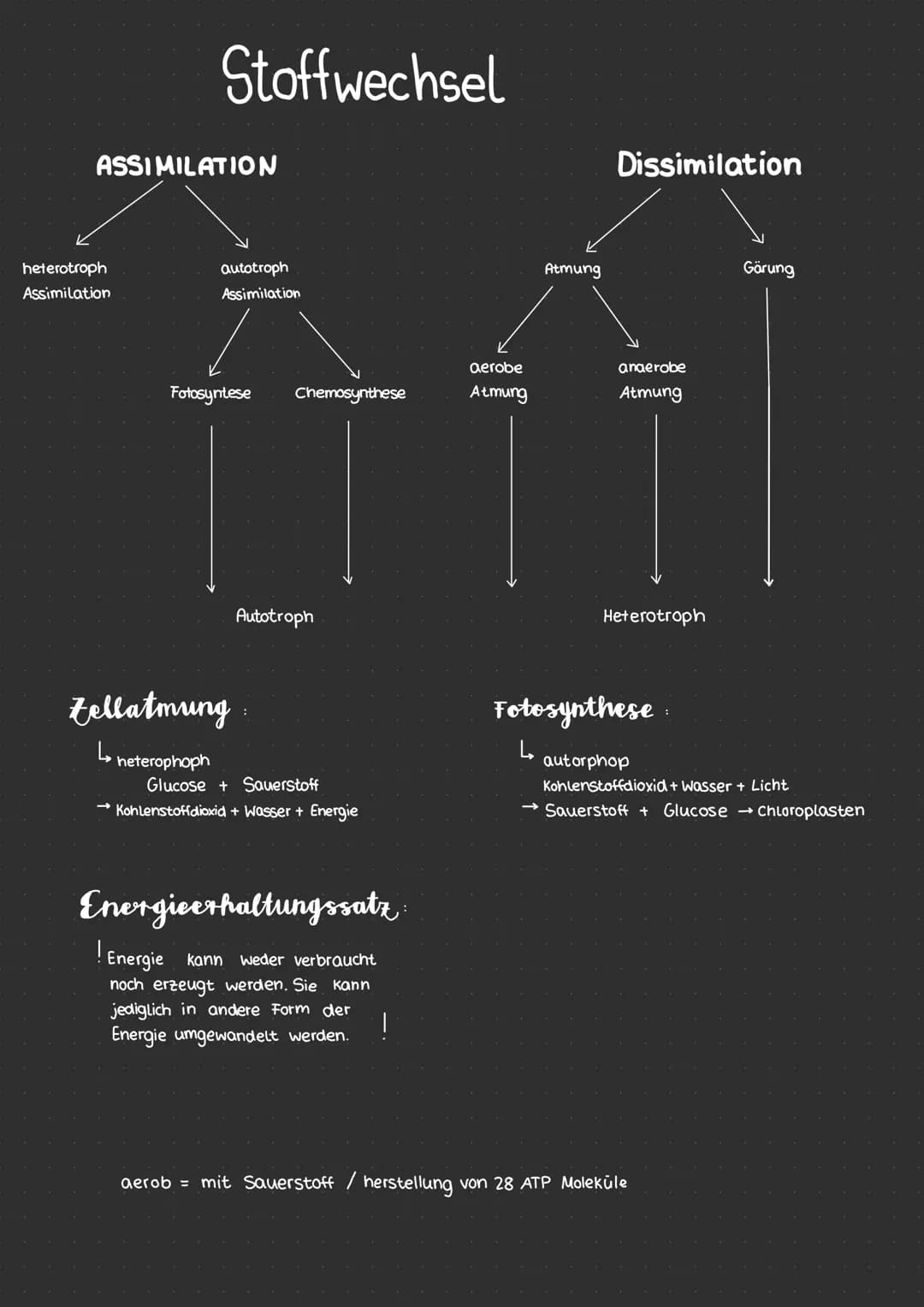 # Neurobiologie
* erregende und nemmende Synapsen
* Synapsengifte
* Sinnesreize
* Auge
* Struktur
* Funktion
* F