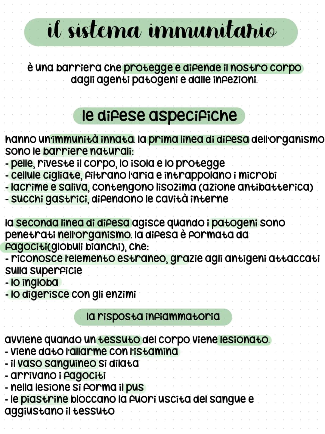 # il sistema linfatico
## funzioni
- assorbimento dei lipidi con i villi intestinali
- scambio di sostanze tra cellule e sangue
- trasporto