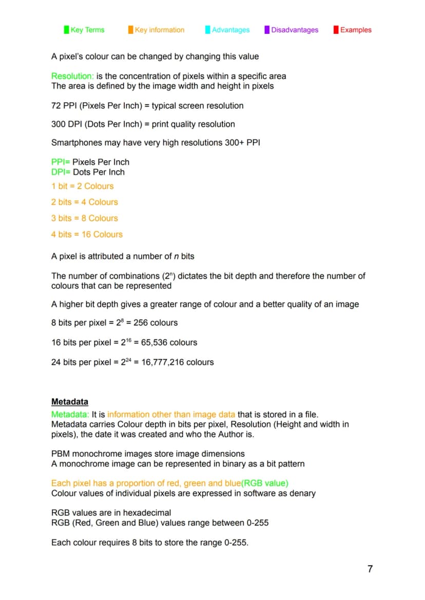 Page 7