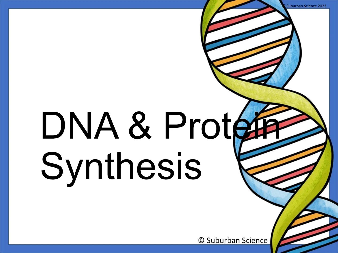 # DNA & Protein
## Synthesis
© Suburban Science
Suburban Science 2023 # What is genetics?
•Genetics is the science
that studies how
charac