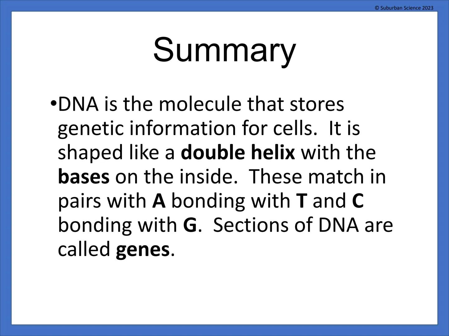 # DNA & Protein
## Synthesis
© Suburban Science
Suburban Science 2023 # What is genetics?
•Genetics is the science
that studies how
charac