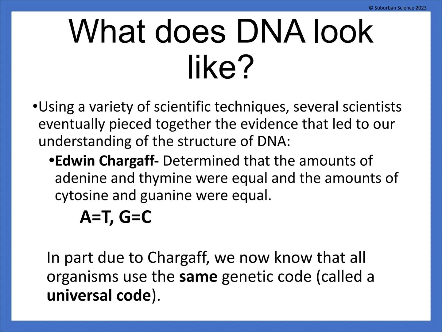# DNA & Protein
## Synthesis
© Suburban Science
Suburban Science 2023 # What is genetics?
•Genetics is the science
that studies how
charac