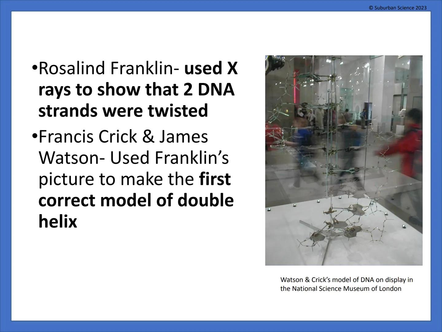 # DNA & Protein
## Synthesis
© Suburban Science
Suburban Science 2023 # What is genetics?
•Genetics is the science
that studies how
charac