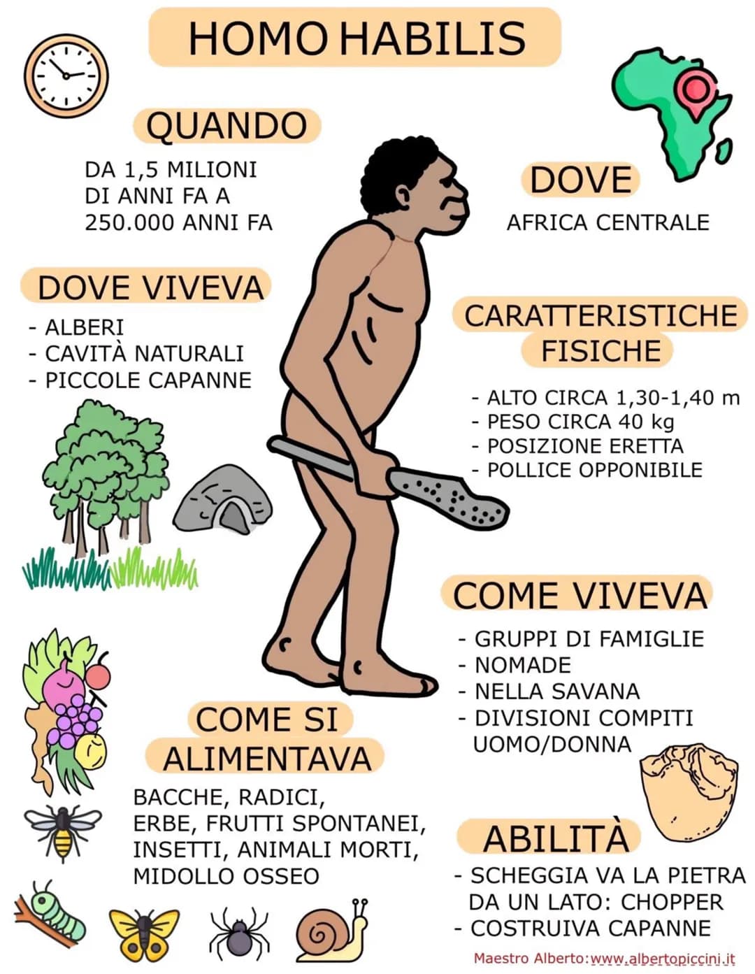 # AUSTRALOPITECO
QUANDO
3,5-4 MILIONI DI ANNI FA
DOVE
AFRICA ORIENTALE
DOVE VIVEVA
- SUGLI ALBERI
- NELLA SAVANA
C
10
CARATTERISTICH