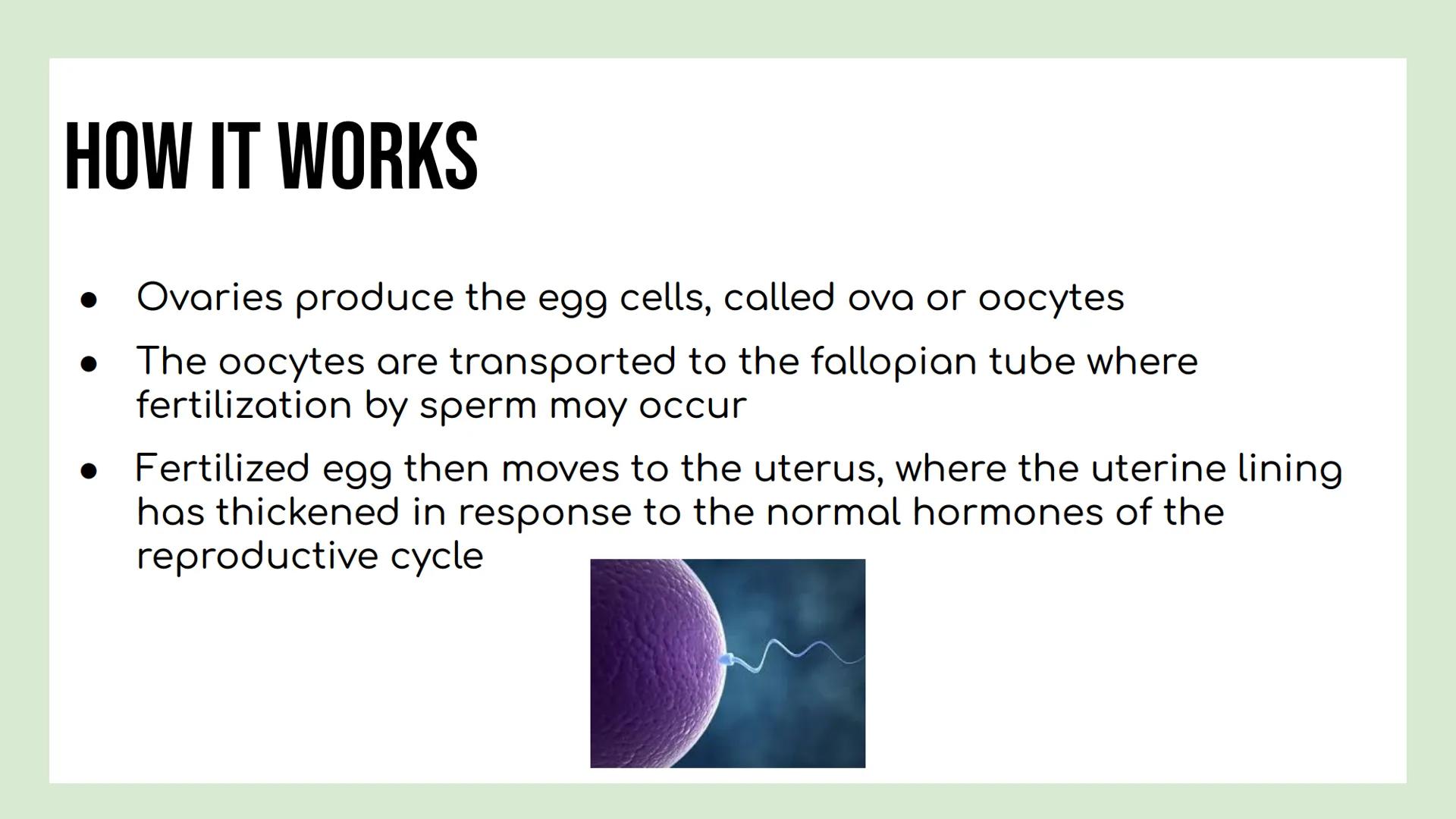 # DAY 3 NOTES: FEMALE ANATOMY
# REMINDERS
Reproductive System: group of tissues, glands and organs that work
together to produce an offsp