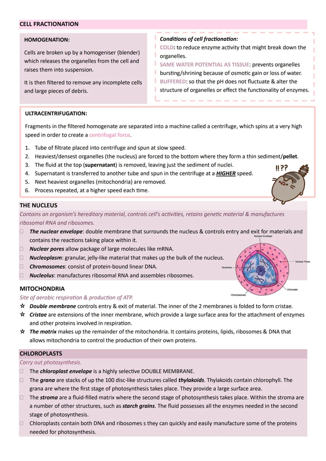 # Year 1
# A-LEVEL
# BIOLOGY
# AQA # UNIT 1 BIOLOGICAL MOLECULES
| MONOMER | POLYMER | BONDS