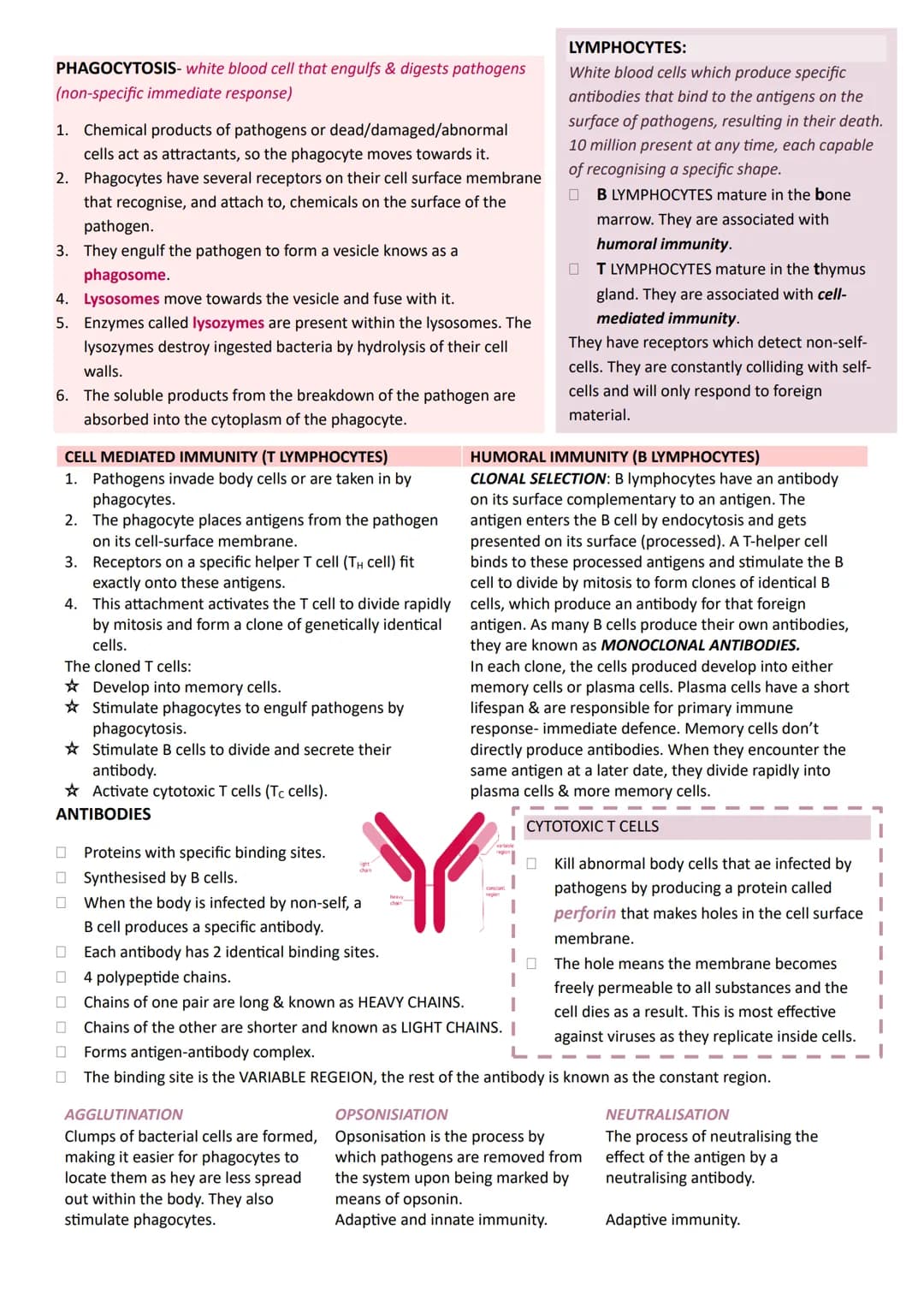 # Year 1
# A-LEVEL
# BIOLOGY
# AQA # UNIT 1 BIOLOGICAL MOLECULES
| MONOMER | POLYMER | BONDS