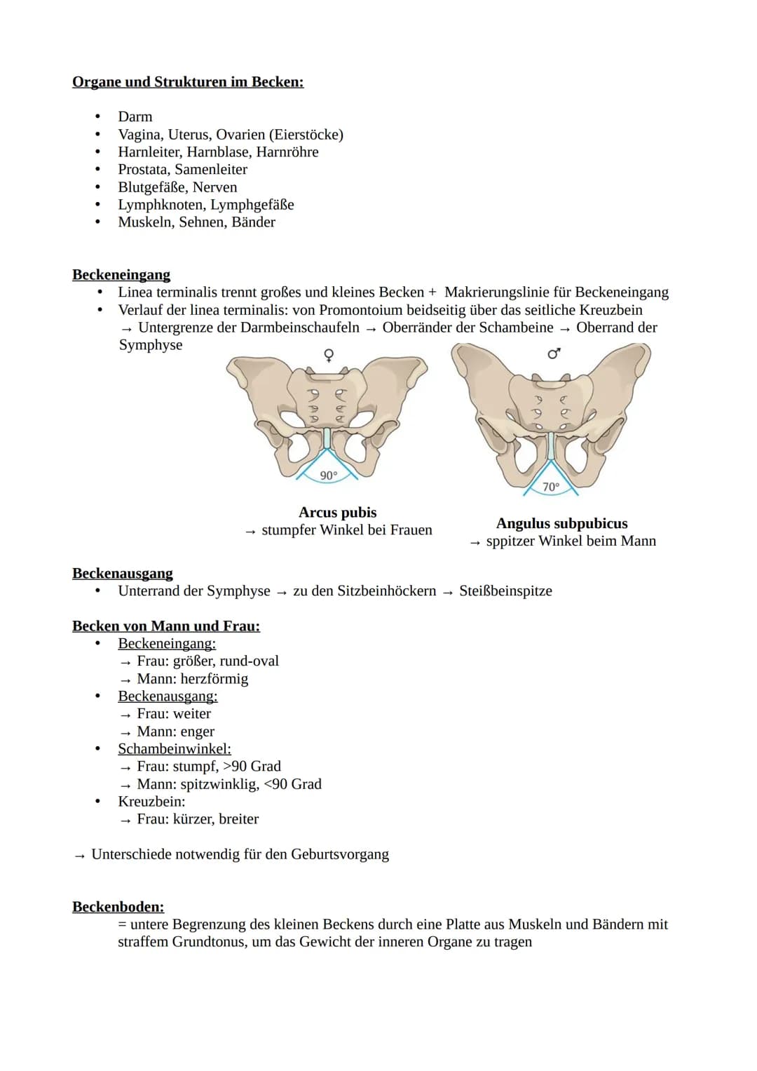 # Das Becken
Knochen und Gelenke
Knöchernes Becken = 2 Hüftbeine (os coxae) + Kreuzbein (os sacrum)
Darmbein (Os illium)
Darmbeingrube (Fo
