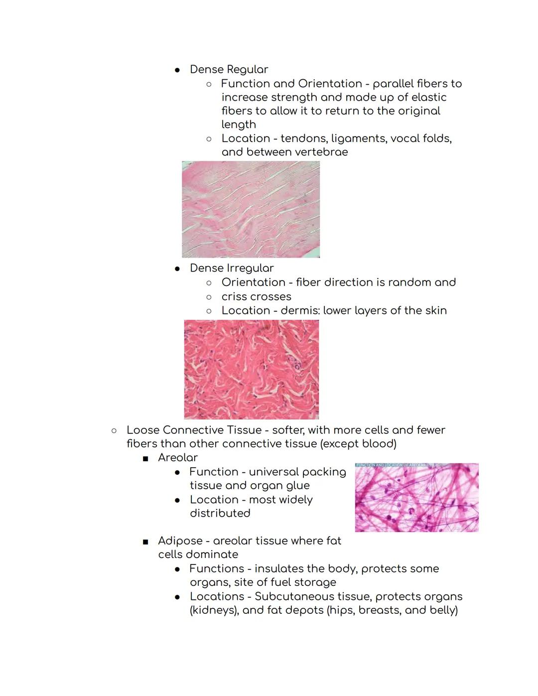 Tissues Study Guide Biomed 1:
Epithelial Tissue
* Places to find epithelial tissue
* Body coverings, body linings, glandular tissue