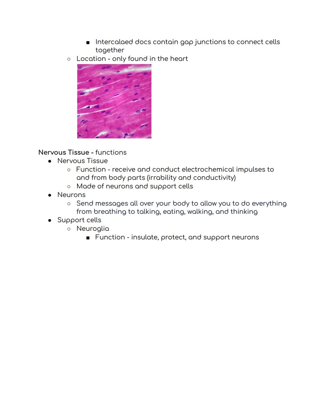 Tissues Study Guide Biomed 1:
Epithelial Tissue
* Places to find epithelial tissue
* Body coverings, body linings, glandular tissue