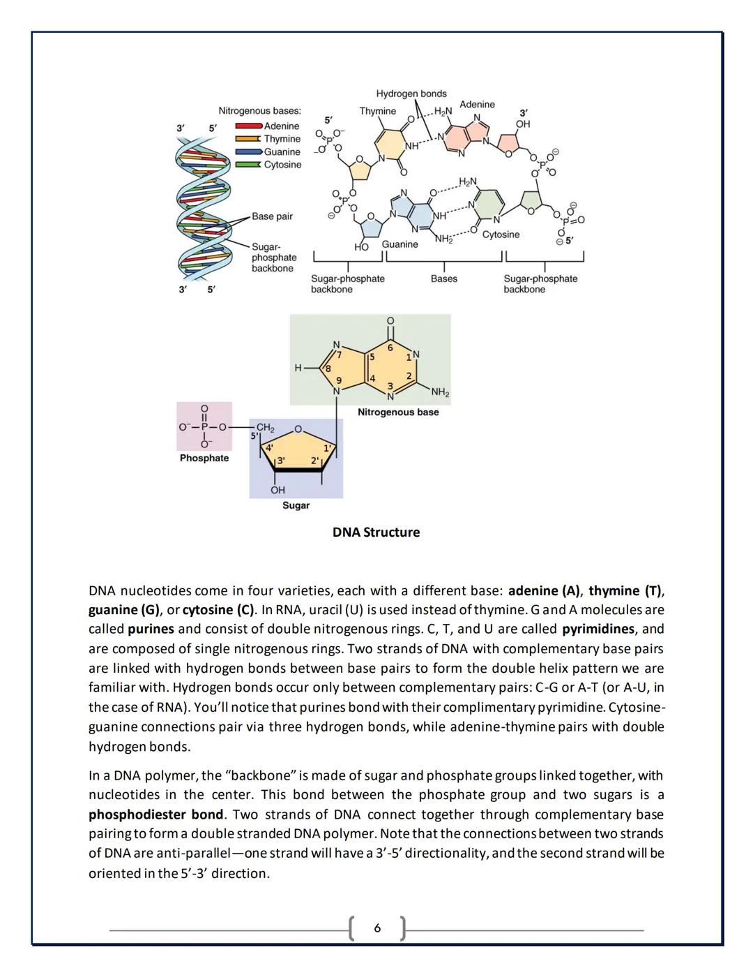 AP Biology:
Study Guide
AP is a registered trademark of the College Board, which was not involved in the production of, and does not endors