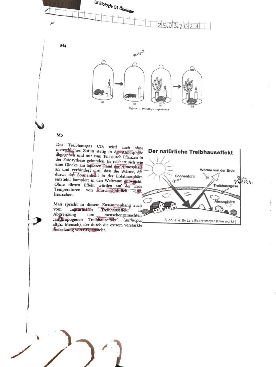 Aufgabe 1: Du hast...
a)
... das Diagramm zur Ökologischen Potenz mit den entsprechenden
Fachbegriffen korrekt beschriftet. (Je 1 P)
... die