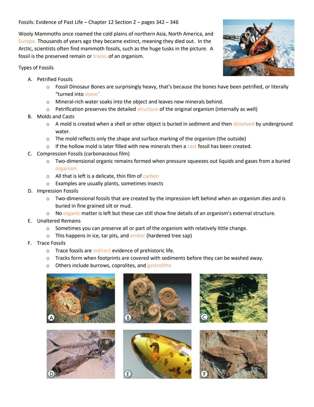 Fossils: Evidence of Past Life - Chapter 12 Section 2 - pages 342-346
Wooly Mammoths once roamed the cold plains of northern Asia, North Am