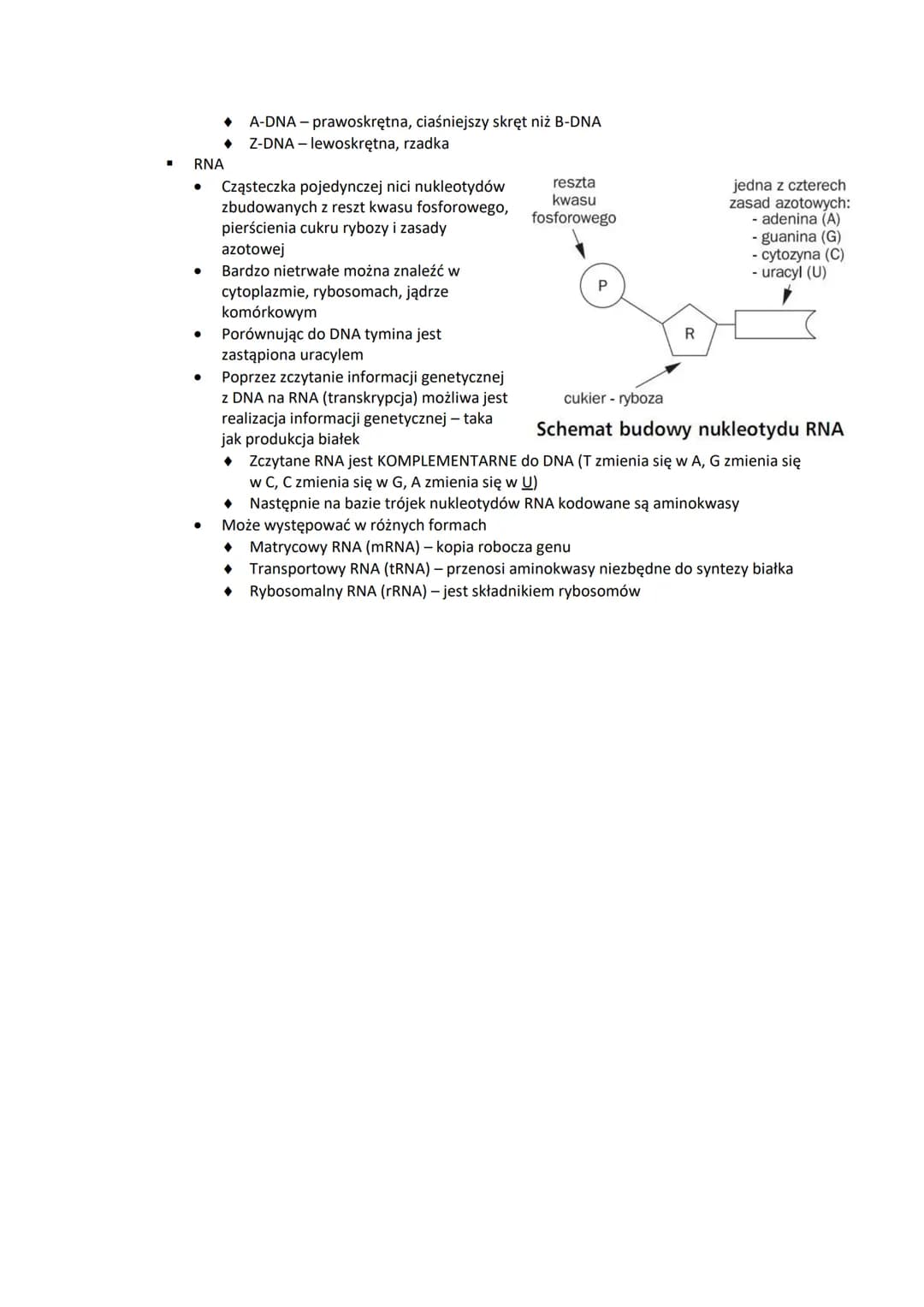 Chemizm życia.
* Składniki nieorganiczne
➤ Makroelementy
* Makroelementy to pierwiastki, które stanowią nie mniej niż 0,01% suchej ma