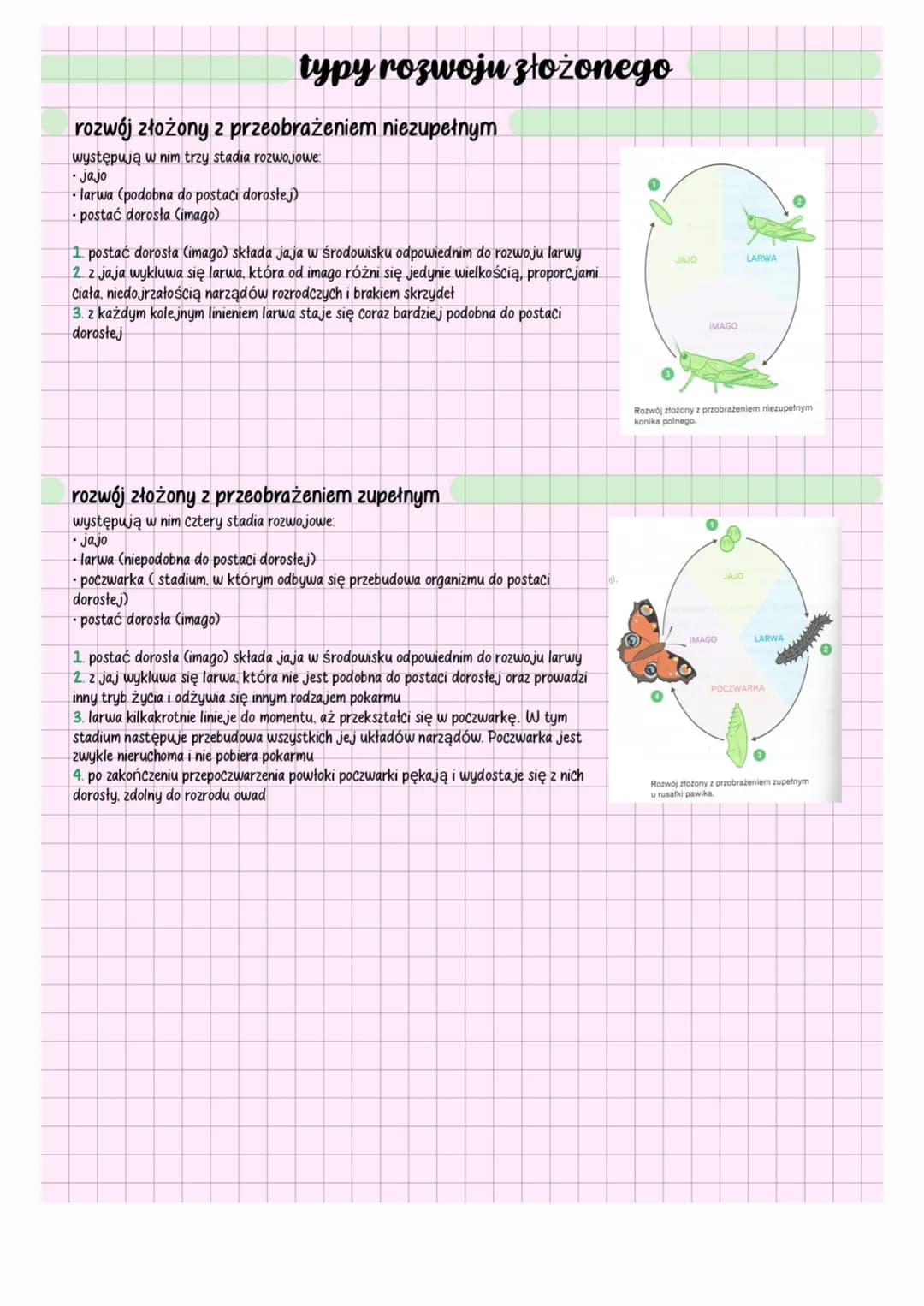 # stawonogi
## charakterystyka
- stawonogi (Arthropoda) to zwierzęta tkankowe, trójwarstwowe, pierwouste, dwubocznie symetryczne
- jamą ciał