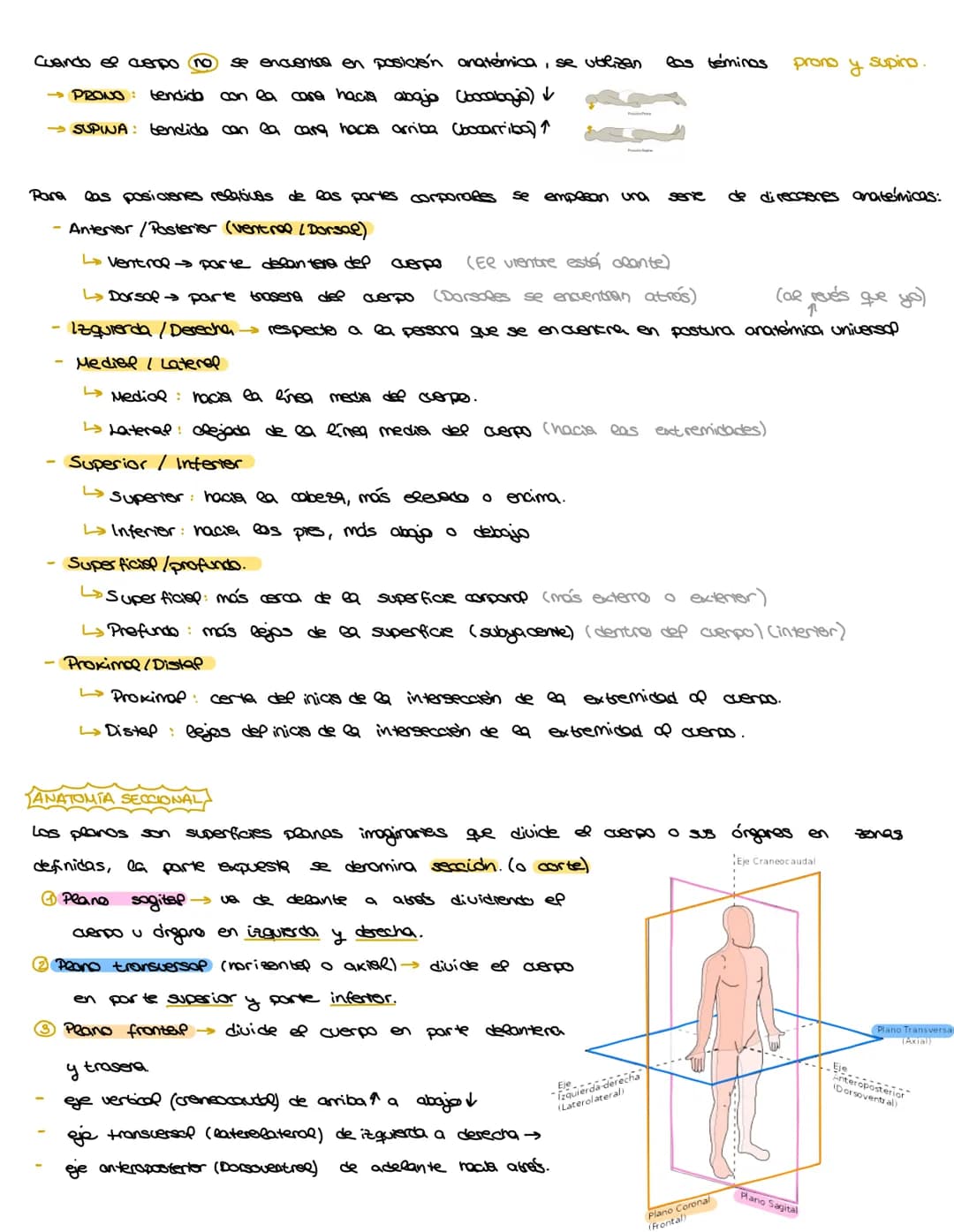 # ANATOMÍA Y FISIOLOGÍA
¿QUÉ ES LA FISIOLOGÍA?
La fisiología es el estudio del funccramento normal de un organismo vivo, incluidos proceso
