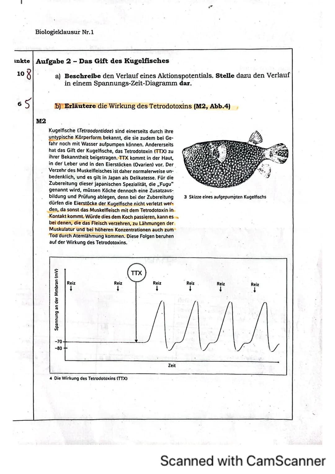 Biologieklausur Nr.1
iologie (Hö)
lasse 136
rreichte Punktzahl: 35
lote:
Klausur „Neurobiologie"
Name:
von 40 Punkten
13 Hó
Allgemein:
- Li