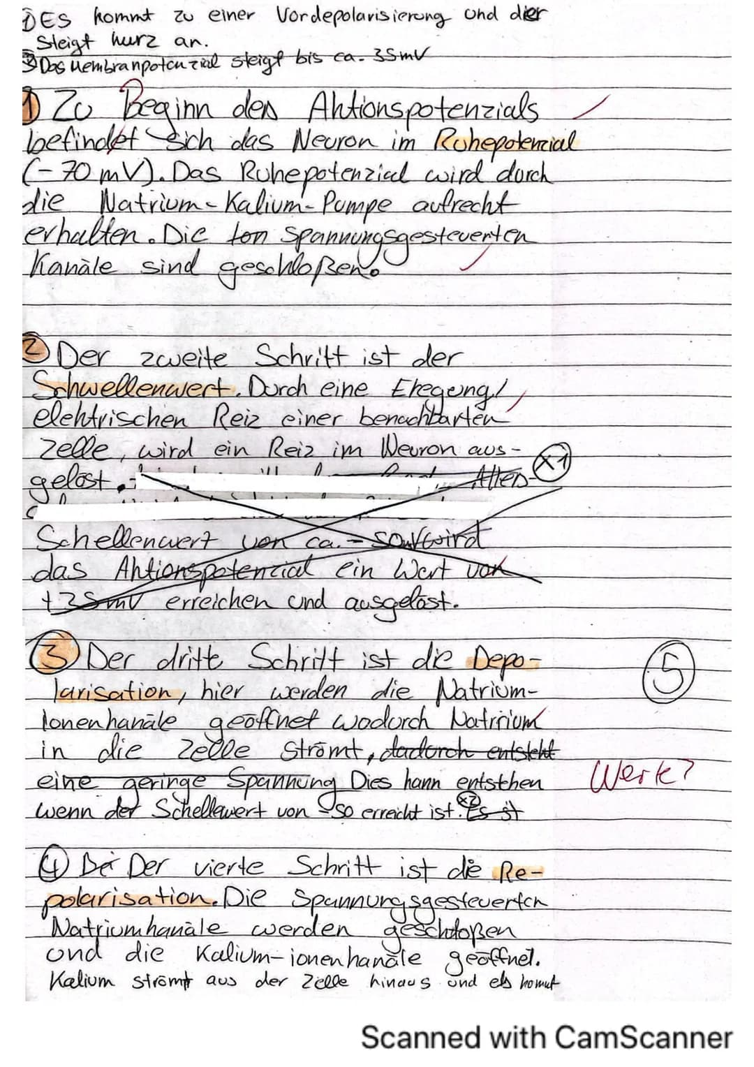 Biologieklausur Nr.1
iologie (Hö)
lasse 136
rreichte Punktzahl: 35
lote:
Klausur „Neurobiologie"
Name:
von 40 Punkten
13 Hó
Allgemein:
- Li
