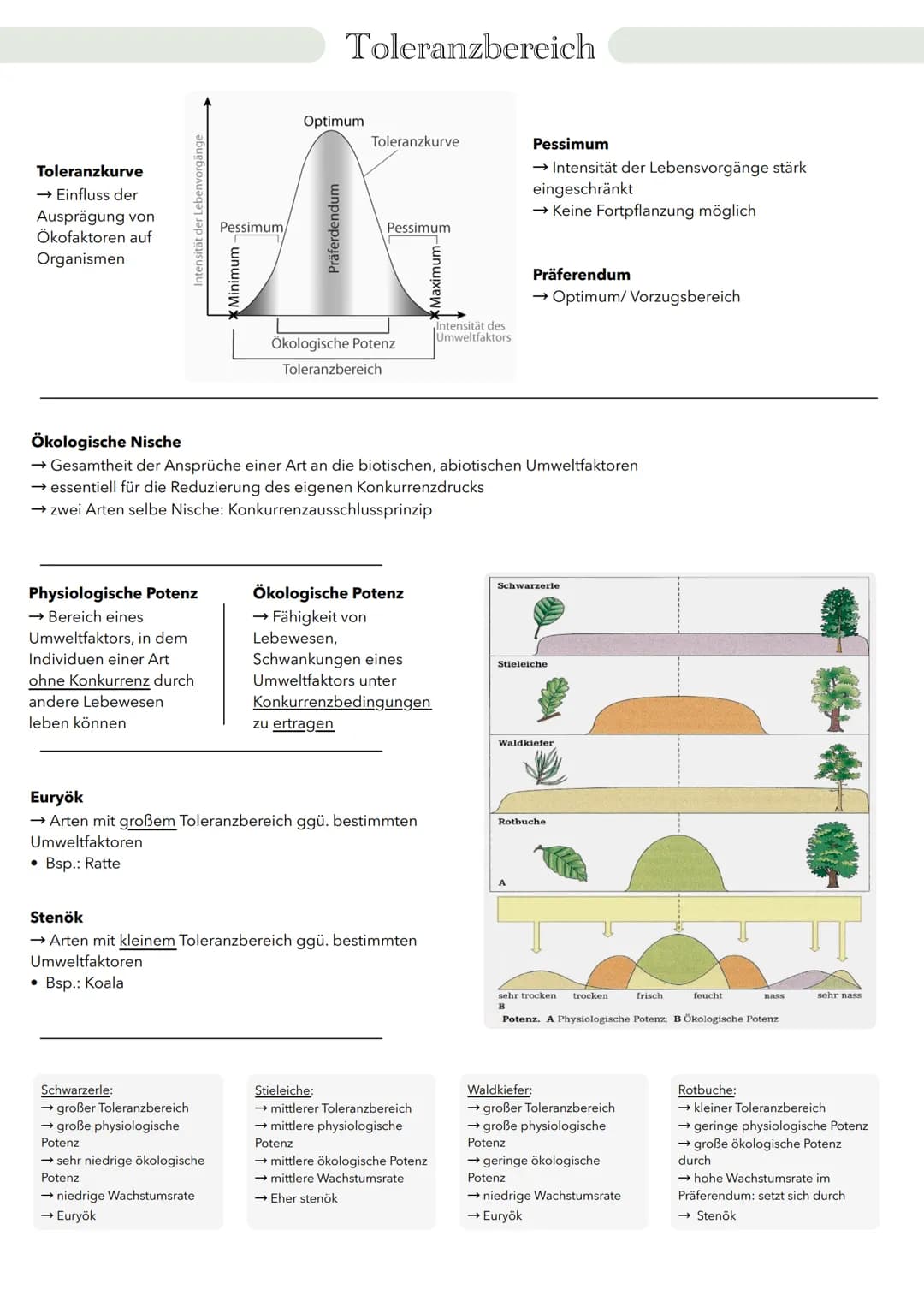# Ökologie Wechselwirkung zwischen Organismen und Welt
Biosphäre
Ökosystem
Biotop + Biozönose
Population
Organismus
Organismus
→ zeic